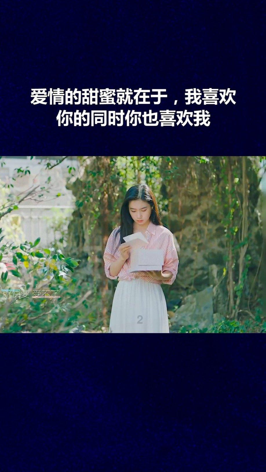 美妙夏季拼图